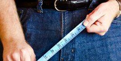 The dimensions of a person's genital body