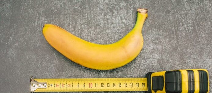 penis measurement in a banana sample